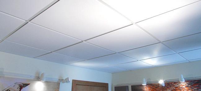 EXPOSED / LAY-IN CEILING SYSTEM